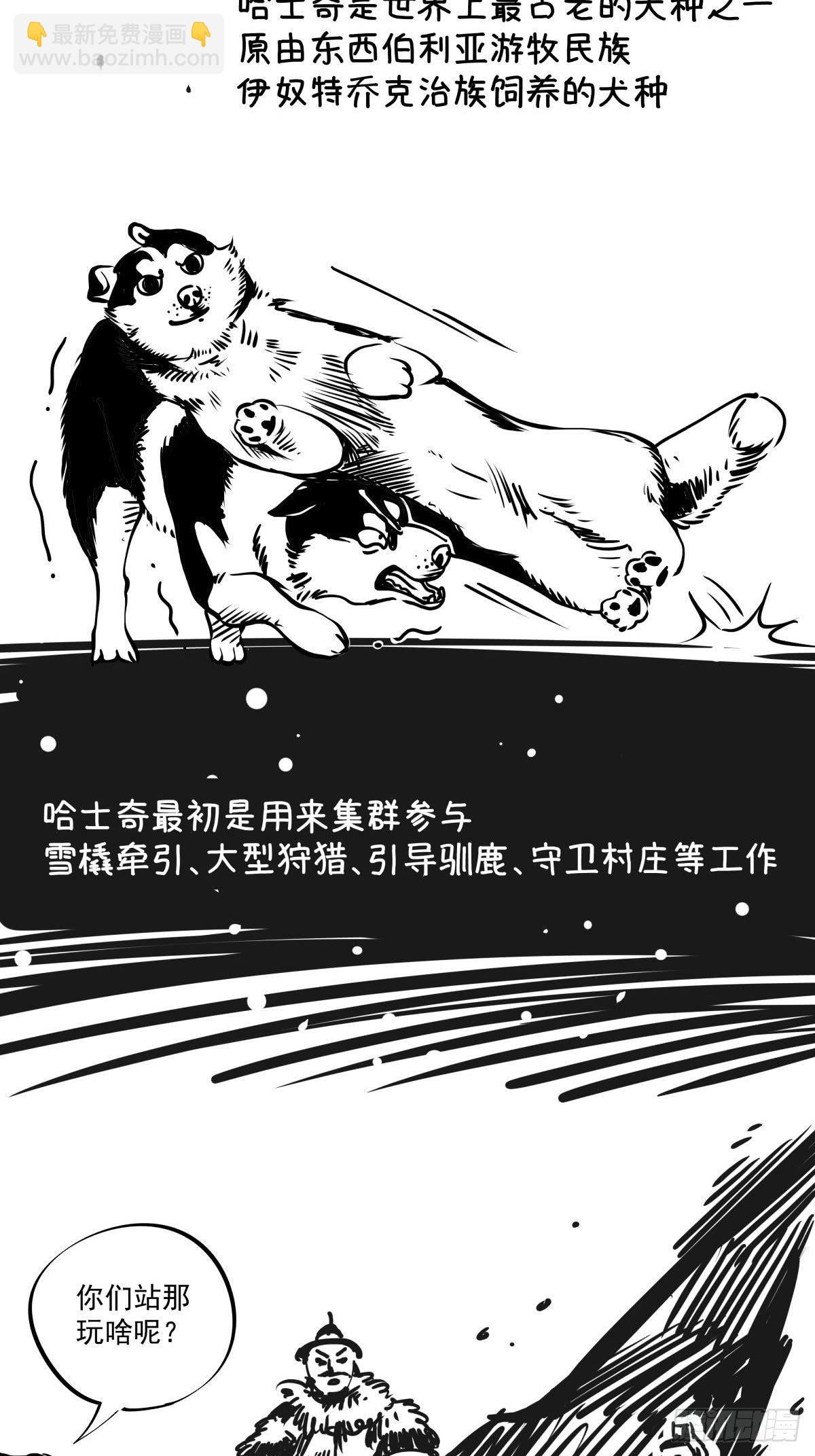 家里有矿啊，敢养哈士奇？38