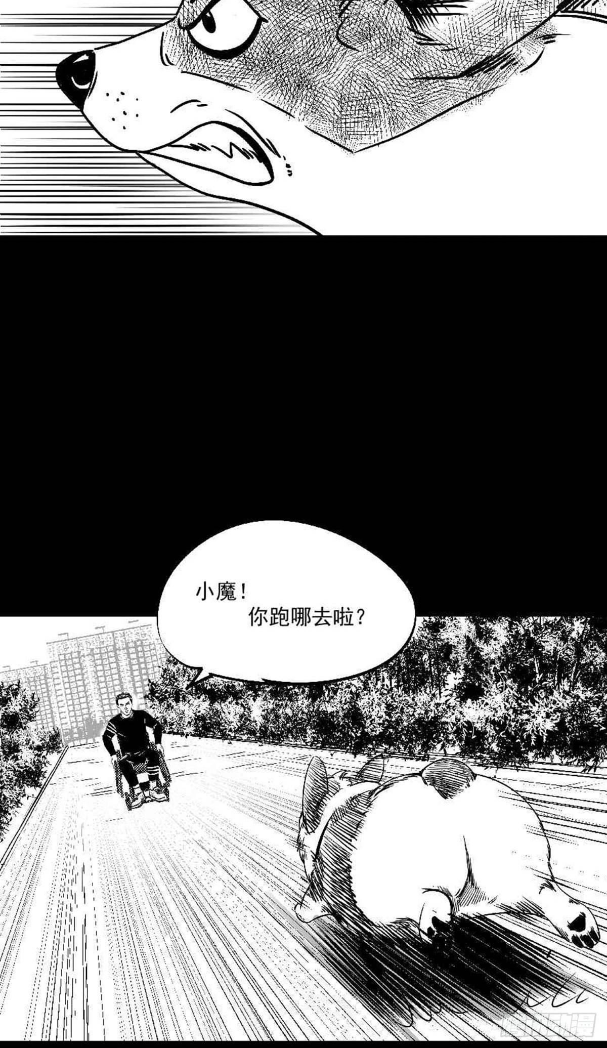 为抢根骨头我坐轮椅追了四条街60