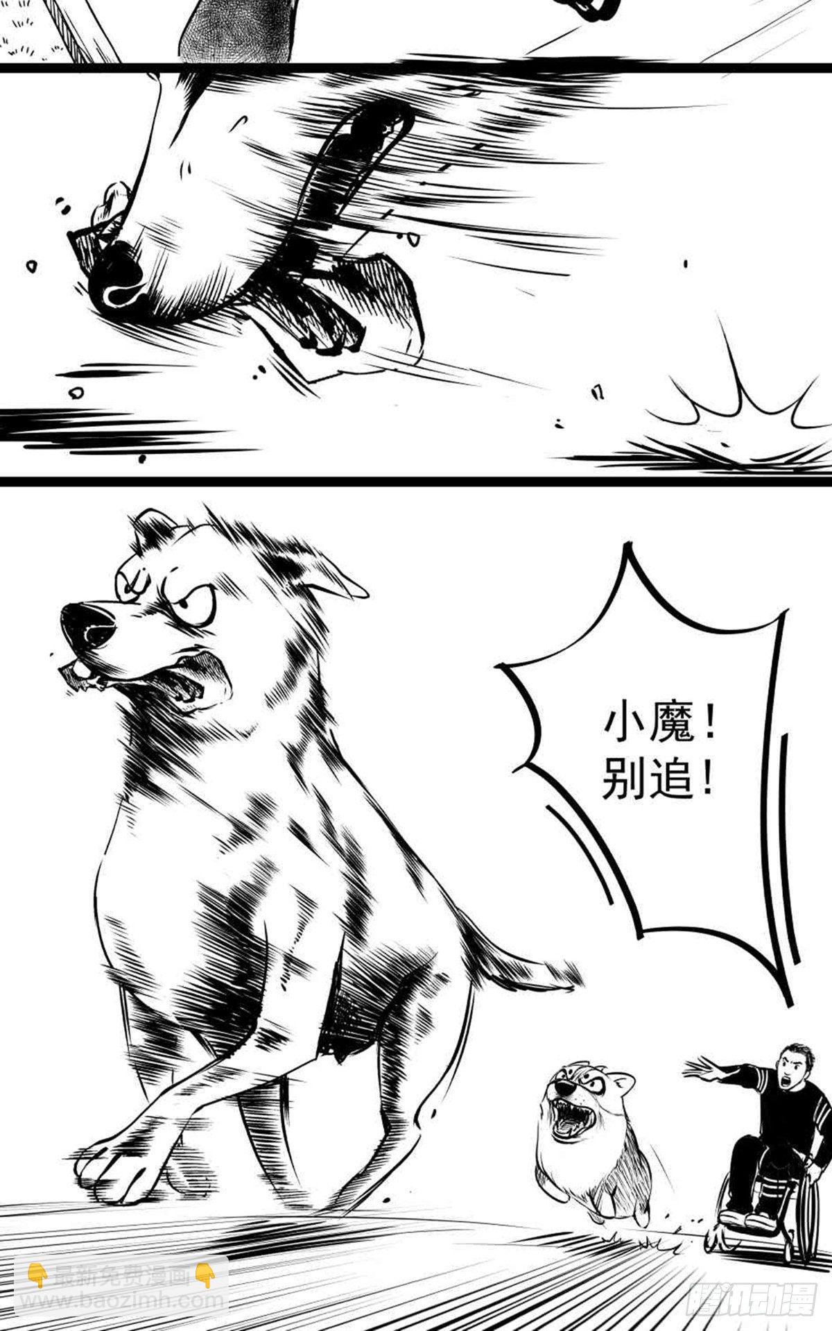 为抢根骨头我坐轮椅追了四条街4