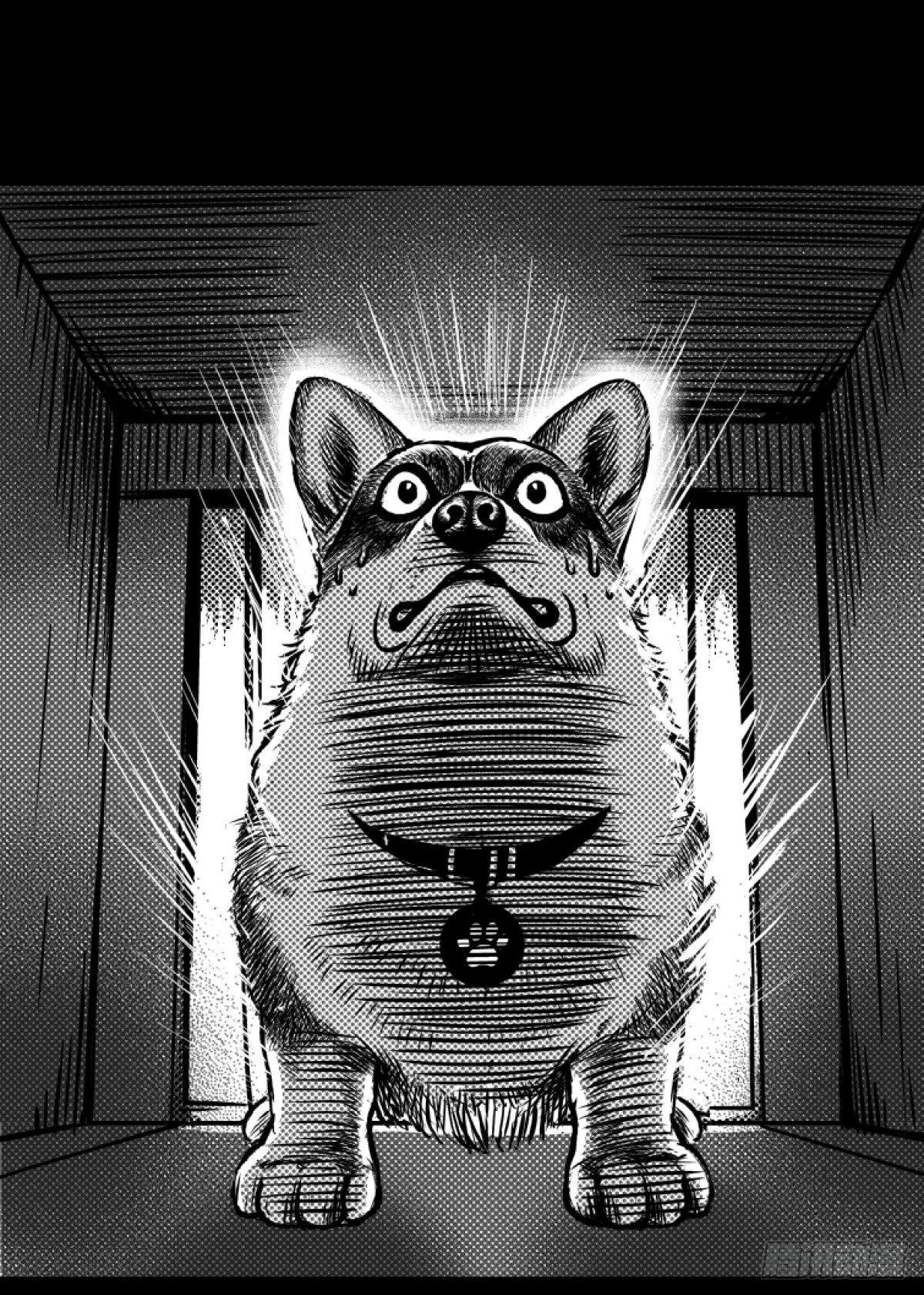 柯基公交车上抓色狼18