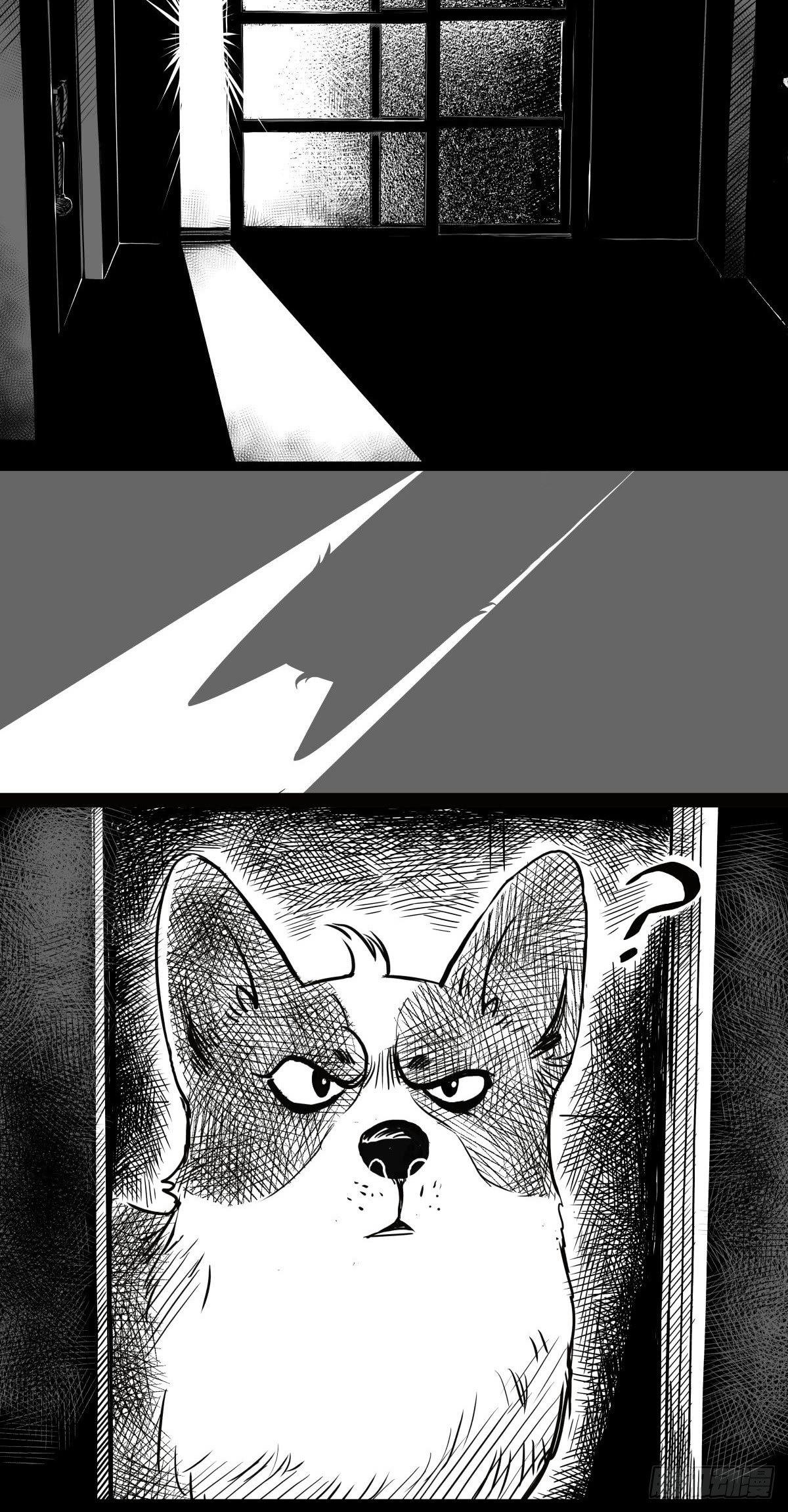 家里有矿啊，敢养哈士奇？14