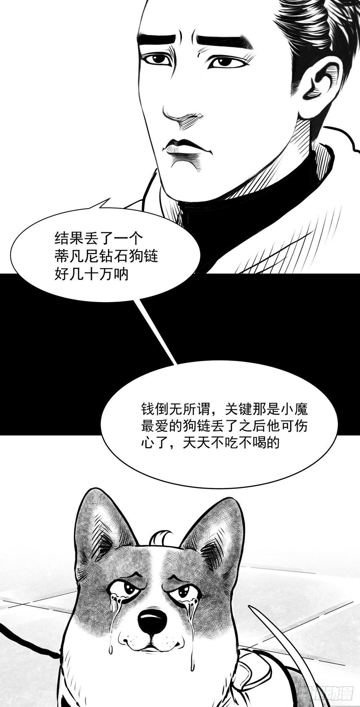 沟通宇宙能量大会24