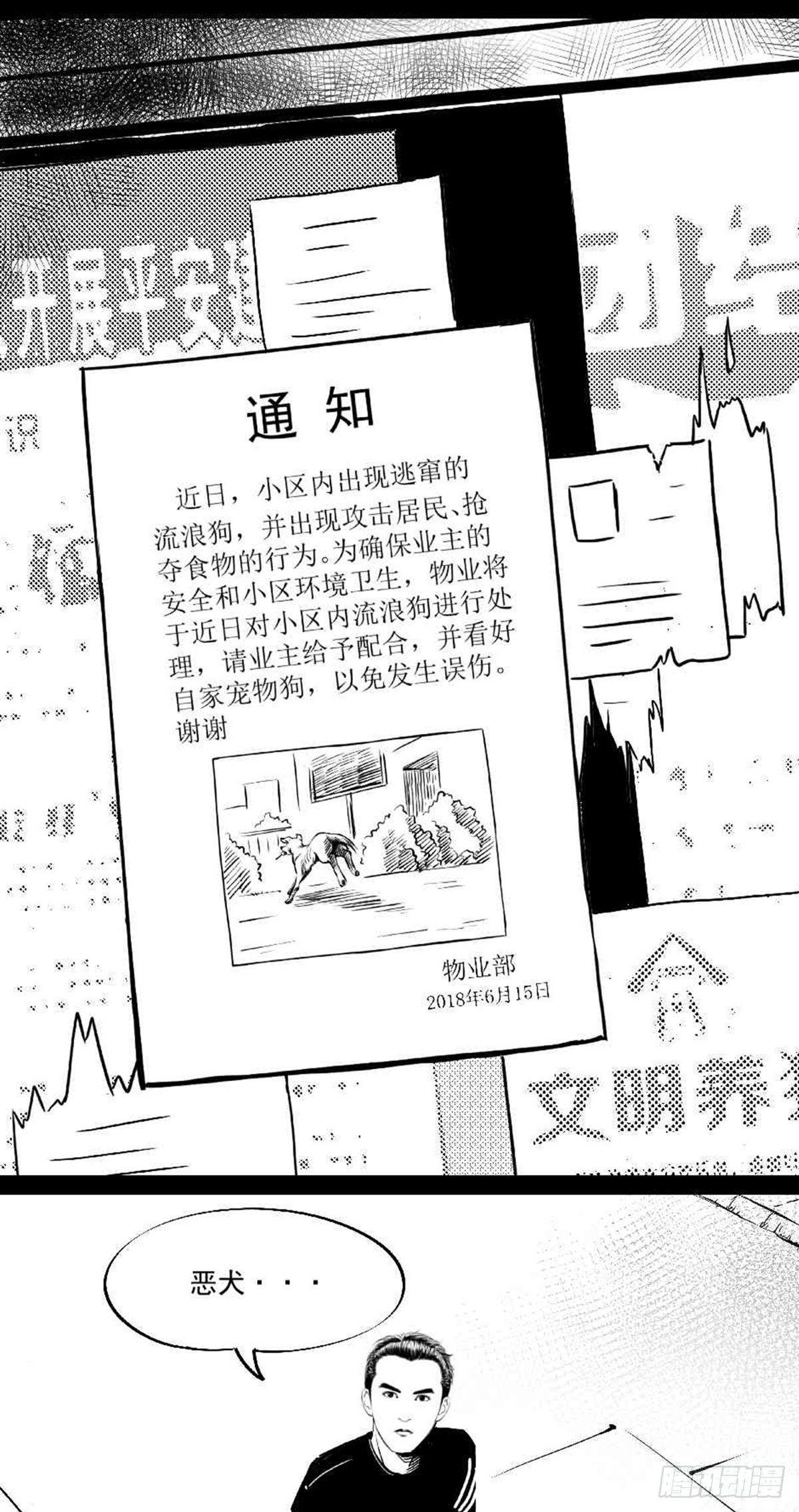 为抢根骨头我坐轮椅追了四条街0