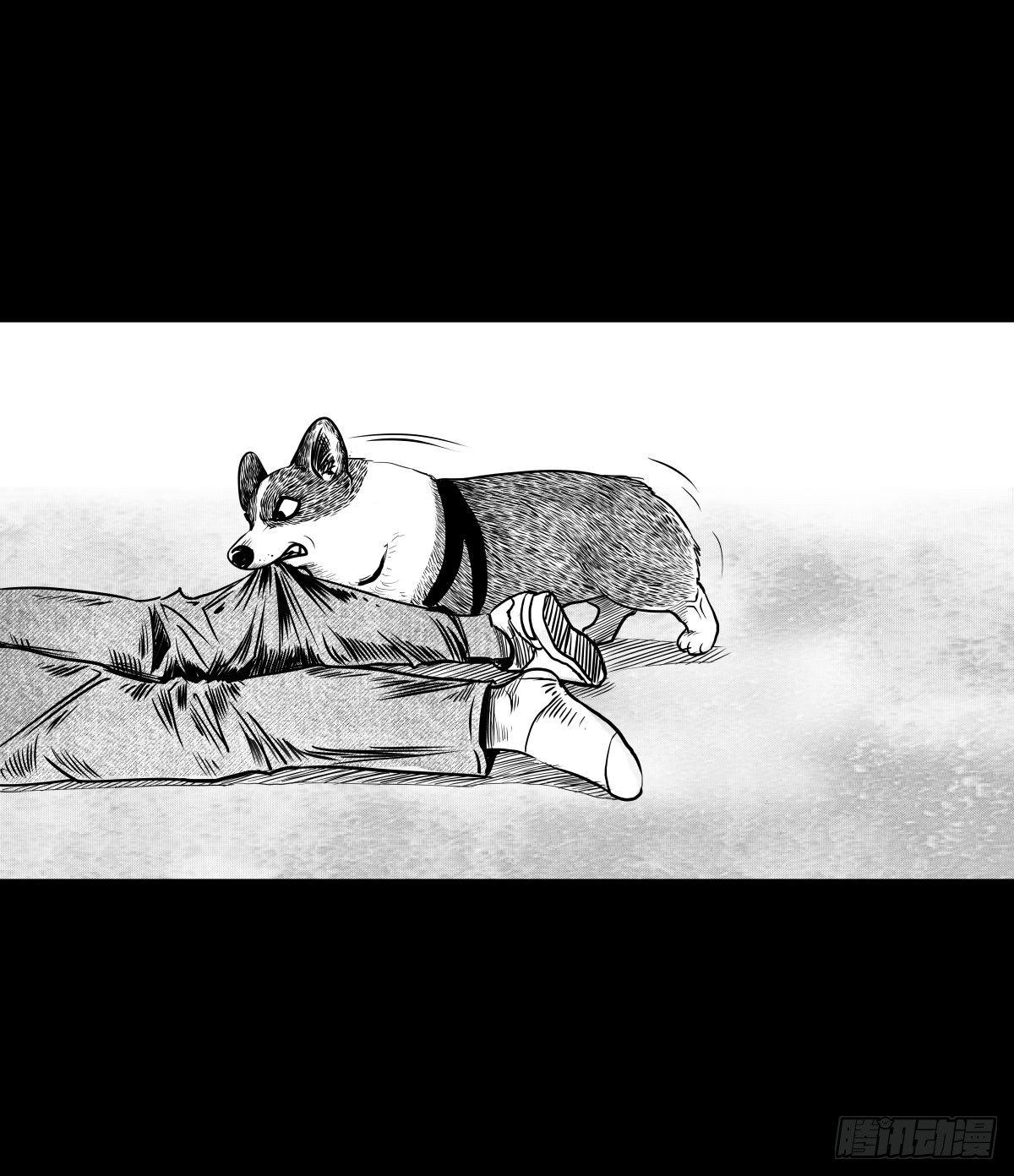 残疾人飙车52