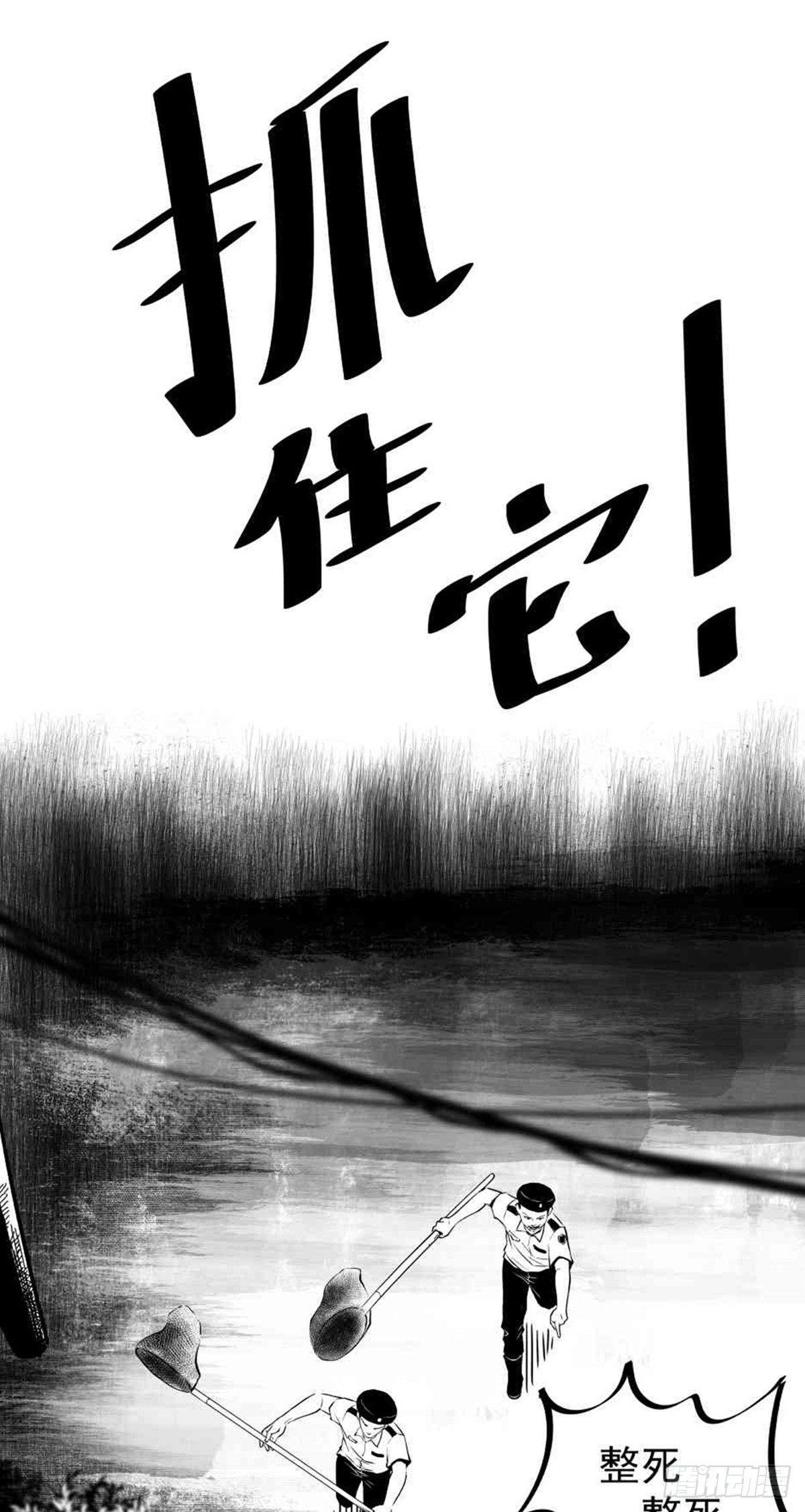 为抢根骨头我坐轮椅追了四条街27