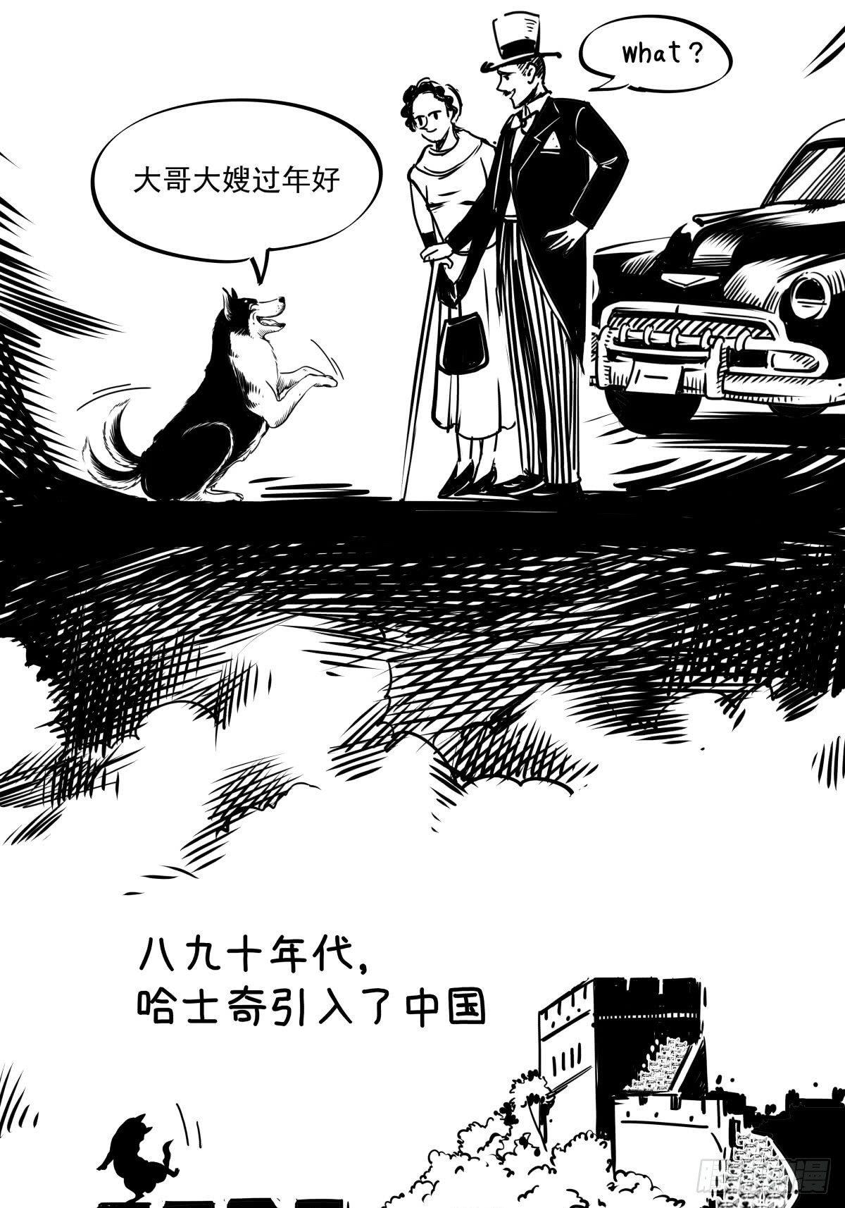 家里有矿啊，敢养哈士奇？45