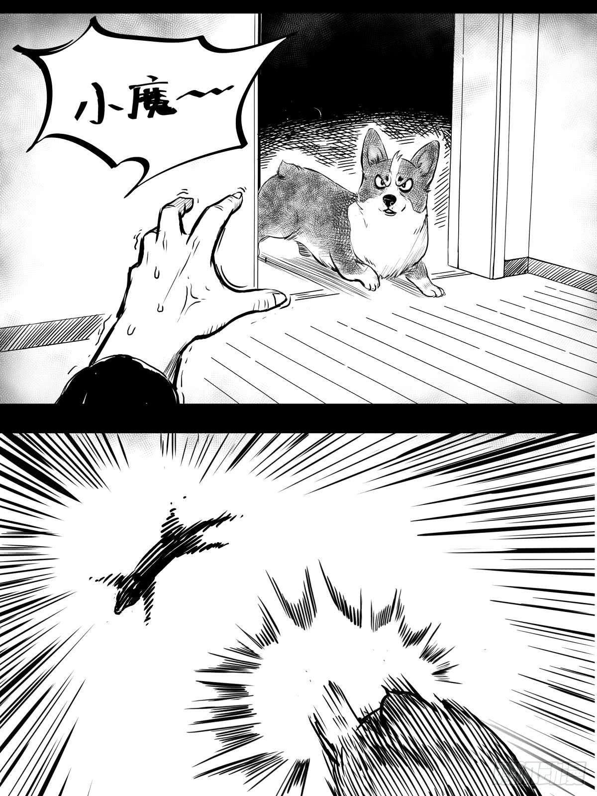 家里有矿啊，敢养哈士奇？23