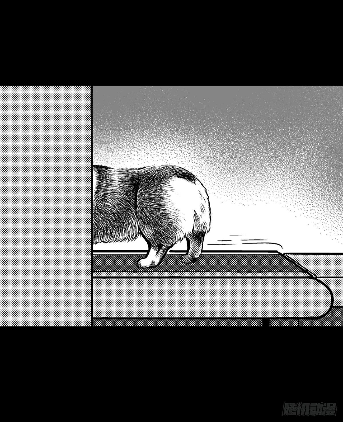 柯基公交车上抓色狼17