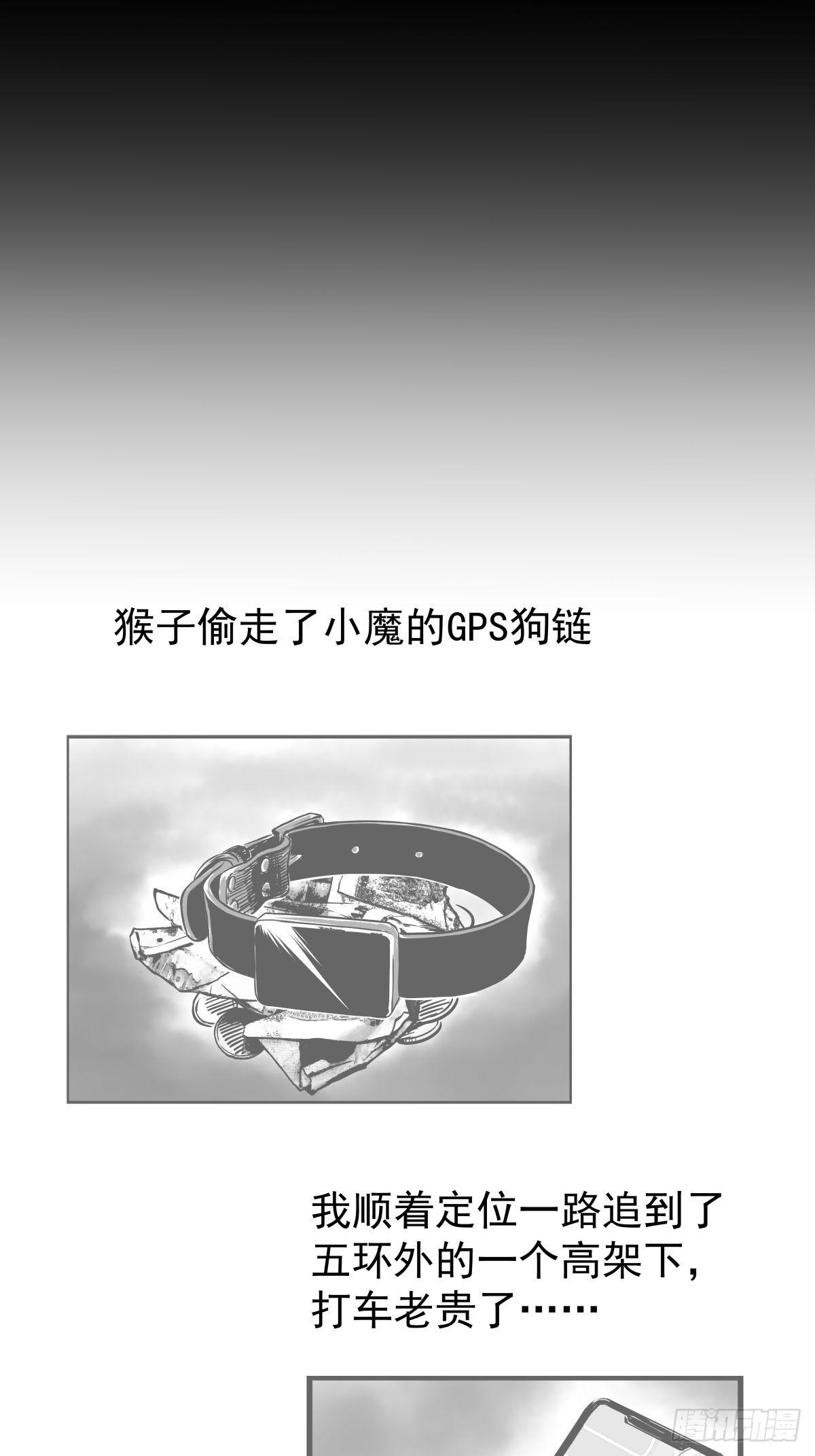 最后的耍猴人63