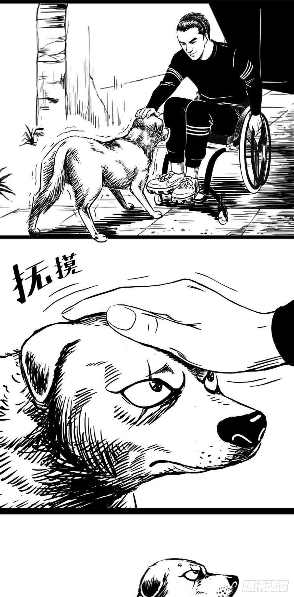 为抢根骨头我坐轮椅追了四条街68