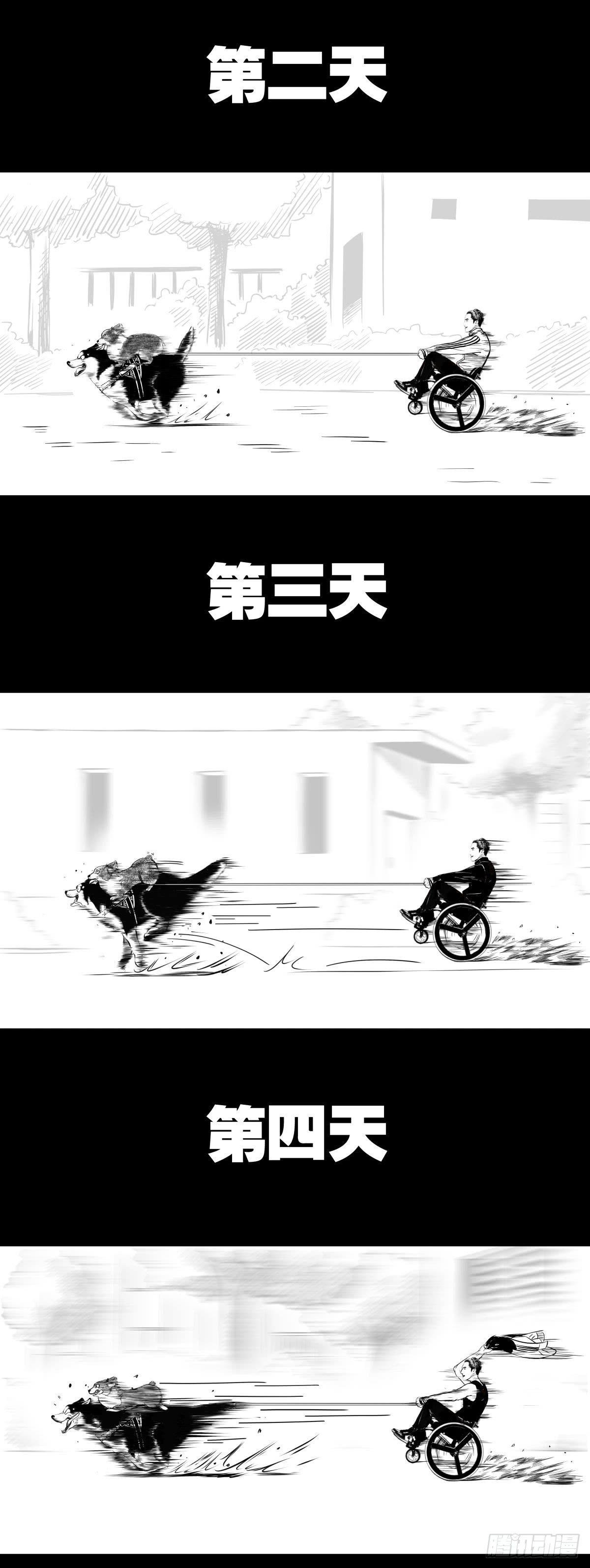 家里有矿啊，敢养哈士奇？98