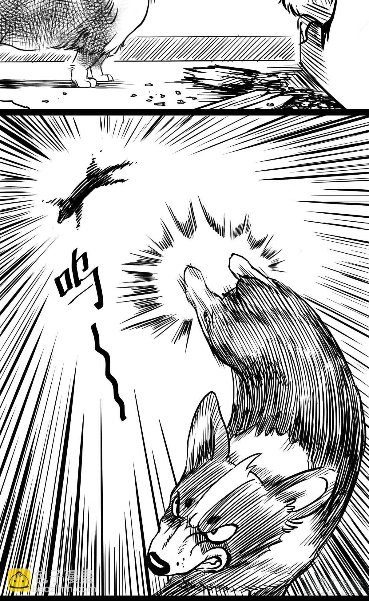 家里有矿啊，敢养哈士奇？21