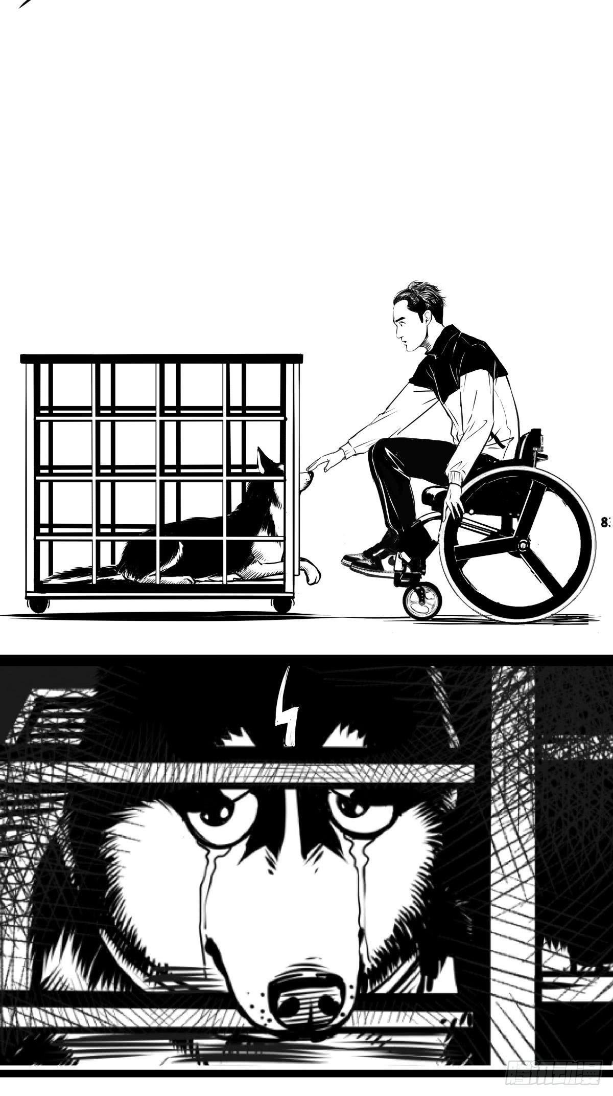 家里有矿啊，敢养哈士奇？61