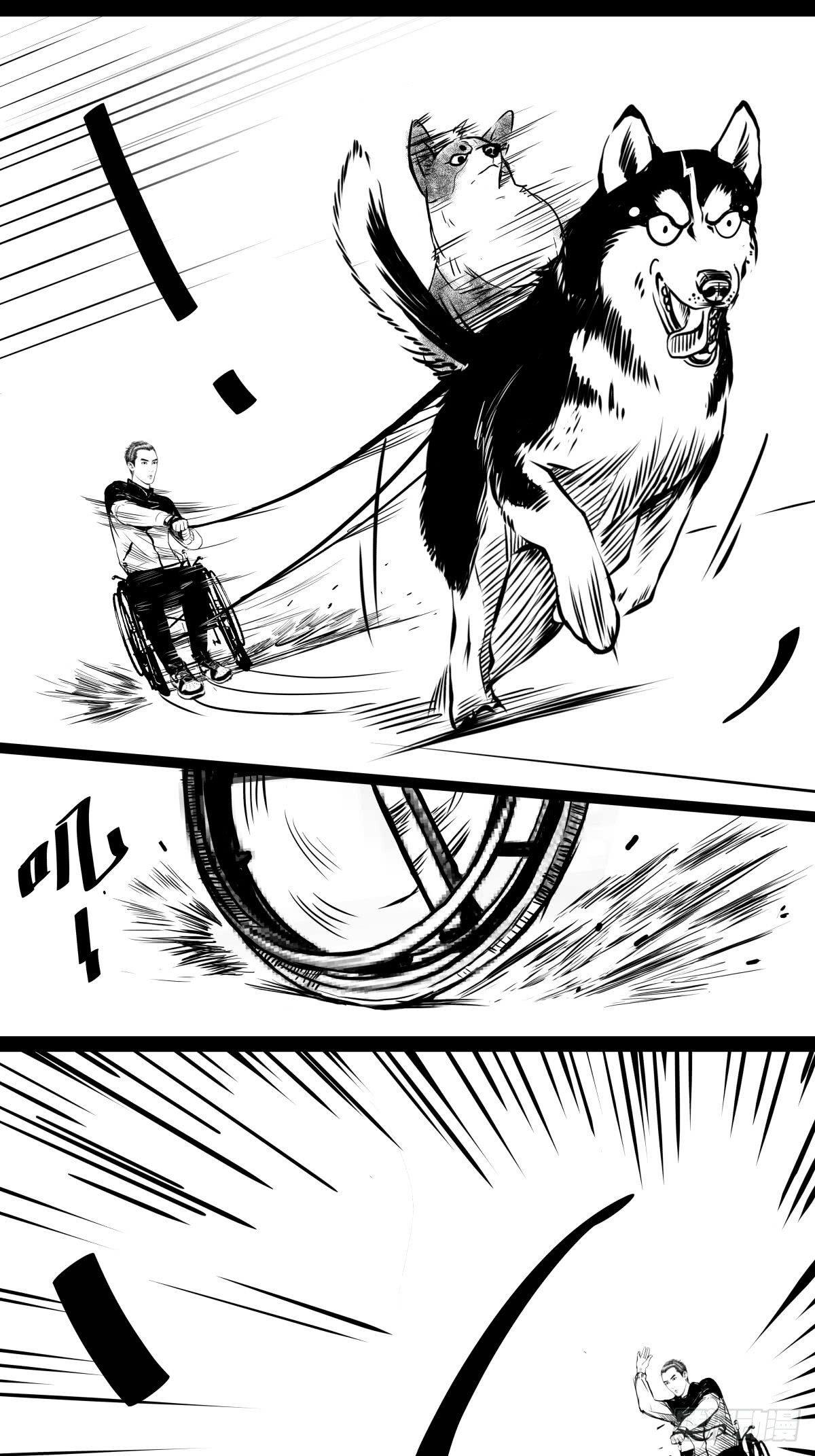 家里有矿啊，敢养哈士奇？77