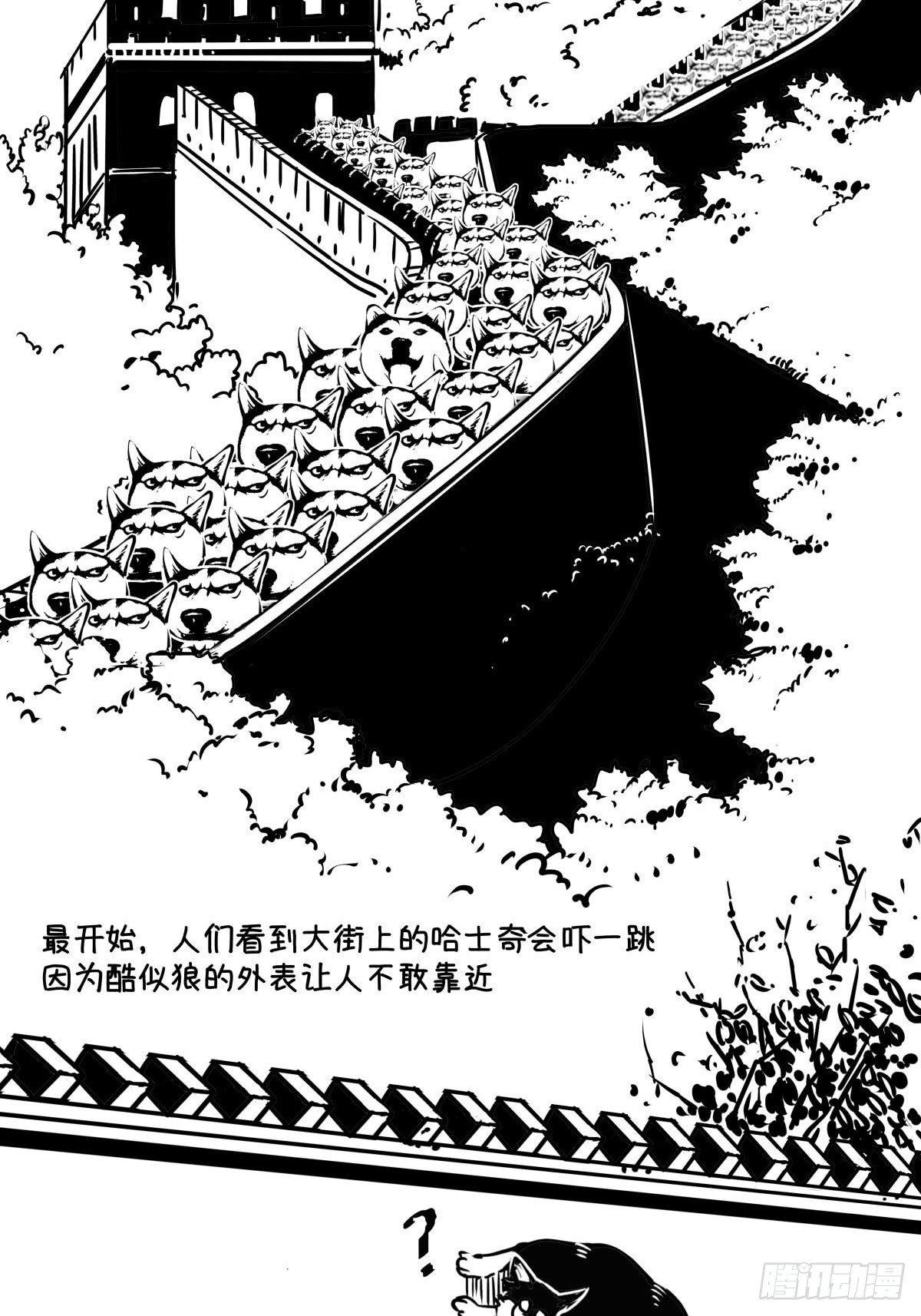 家里有矿啊，敢养哈士奇？46