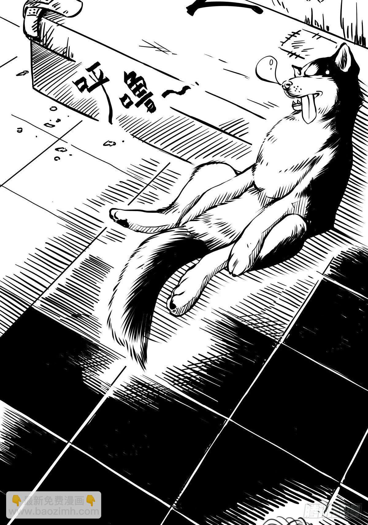 家里有矿啊，敢养哈士奇？96