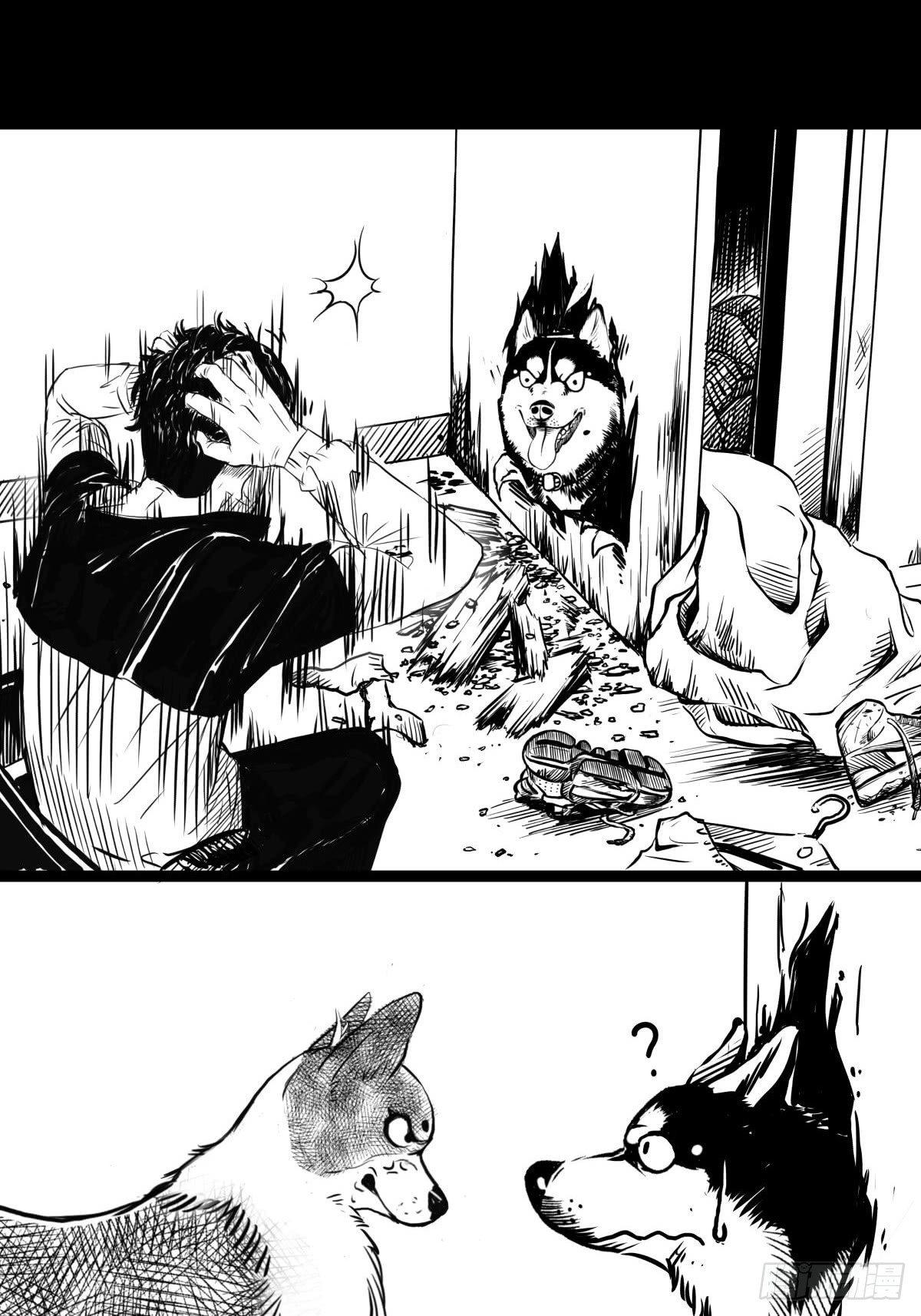 家里有矿啊，敢养哈士奇？20