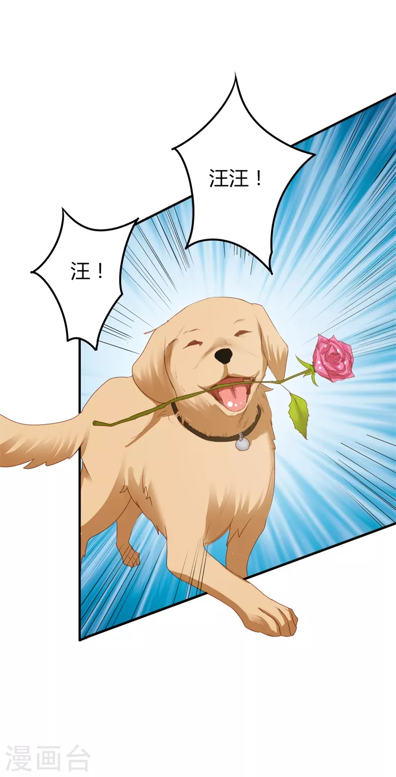 第37话能原谅我吗5