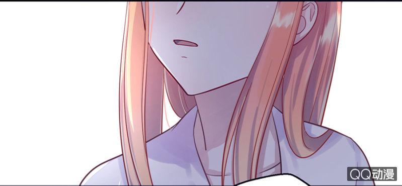 莱斯特36
