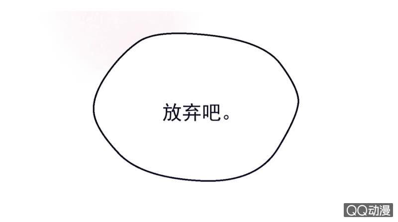 莱斯特33