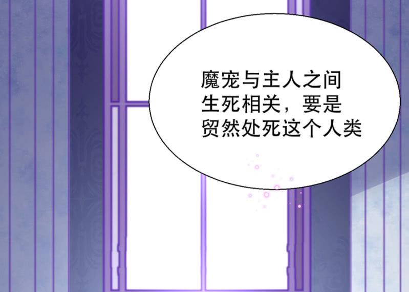 王子的血宠12