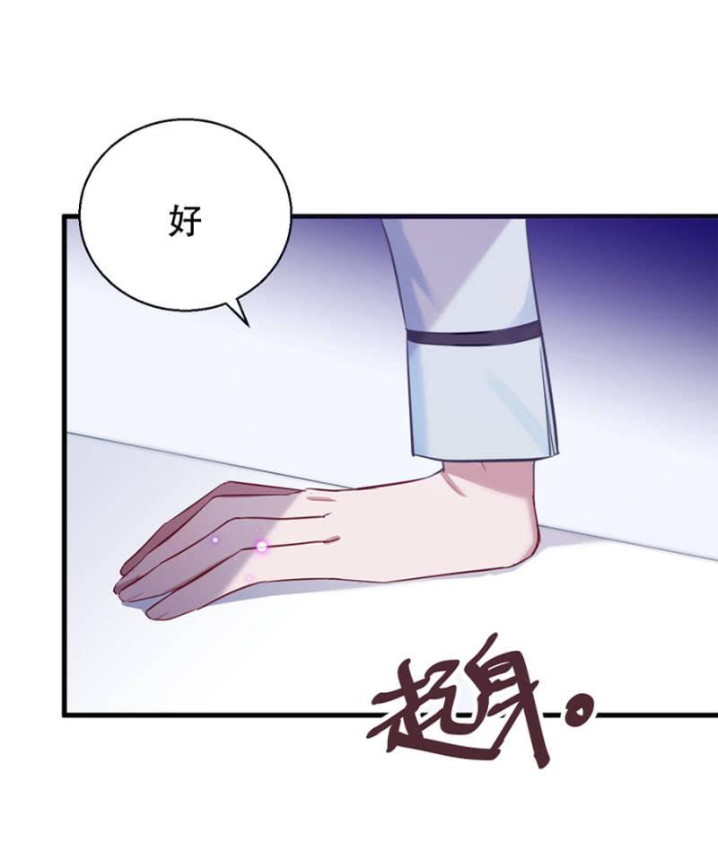 宠物的样子25