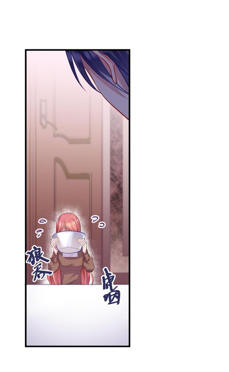宠物的样子16