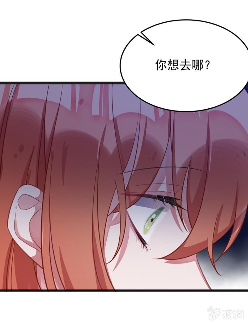 我的王妃只有你8