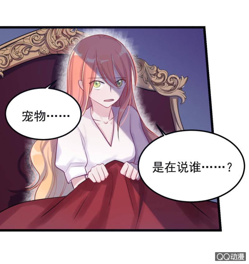 莱斯特20
