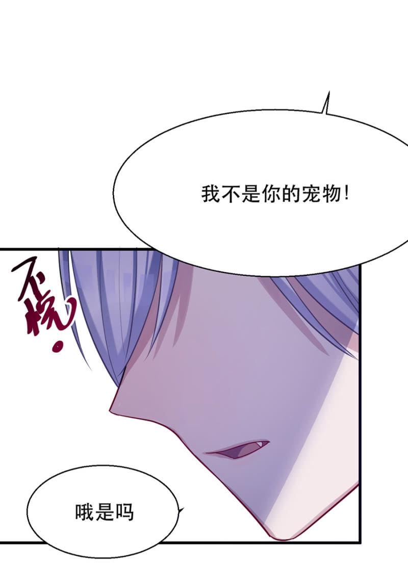 宠物的样子4
