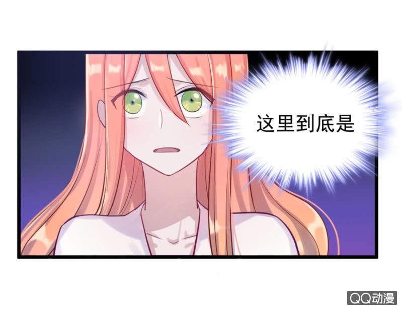 莱斯特15