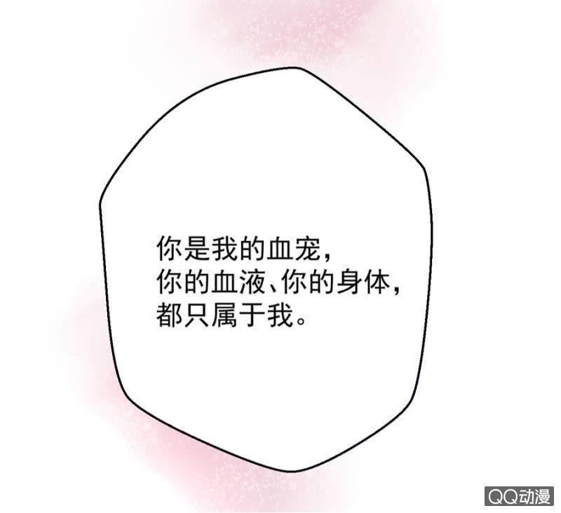 莱斯特35