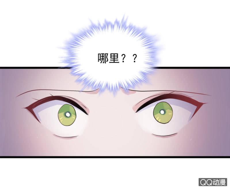 莱斯特16