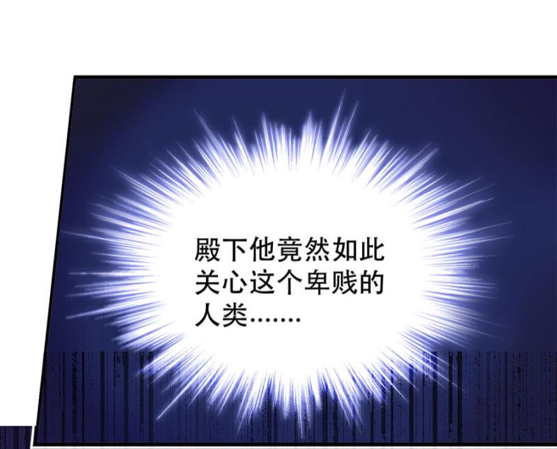 宠物的样子29