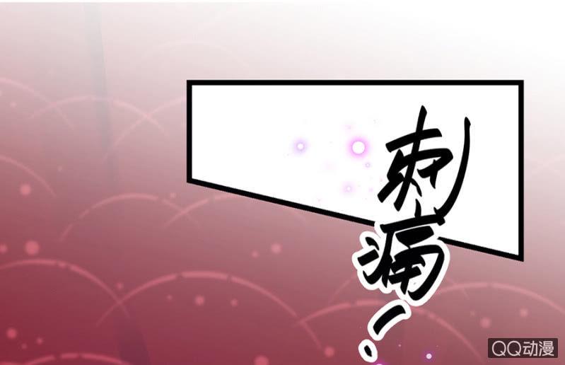 莱斯特9