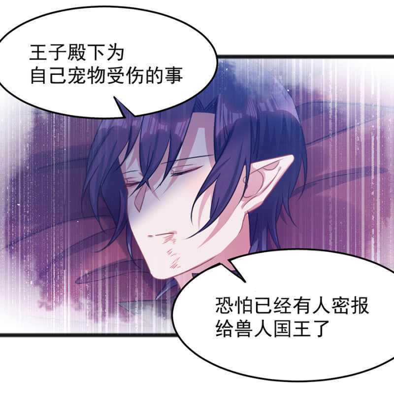 只为强者做事14