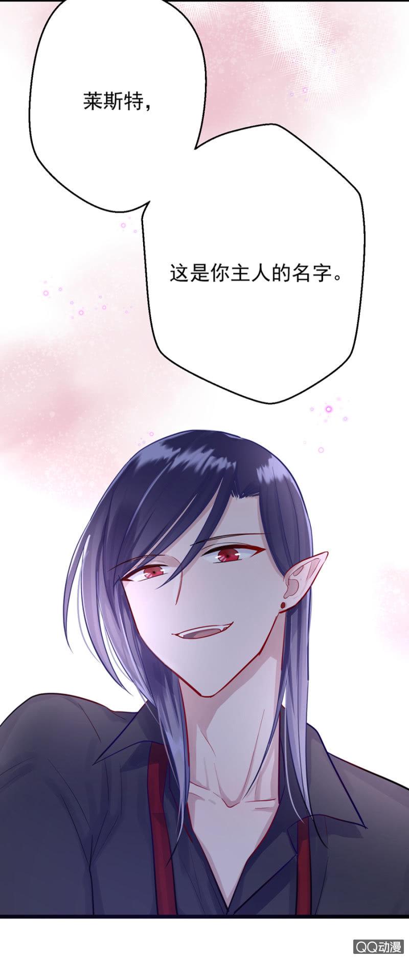 莱斯特38