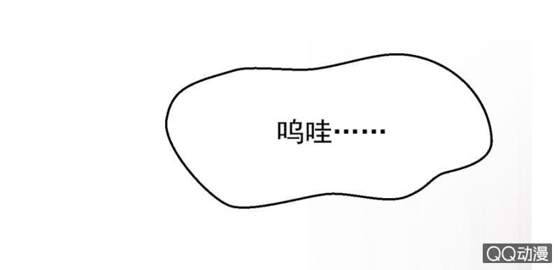 莱斯特31