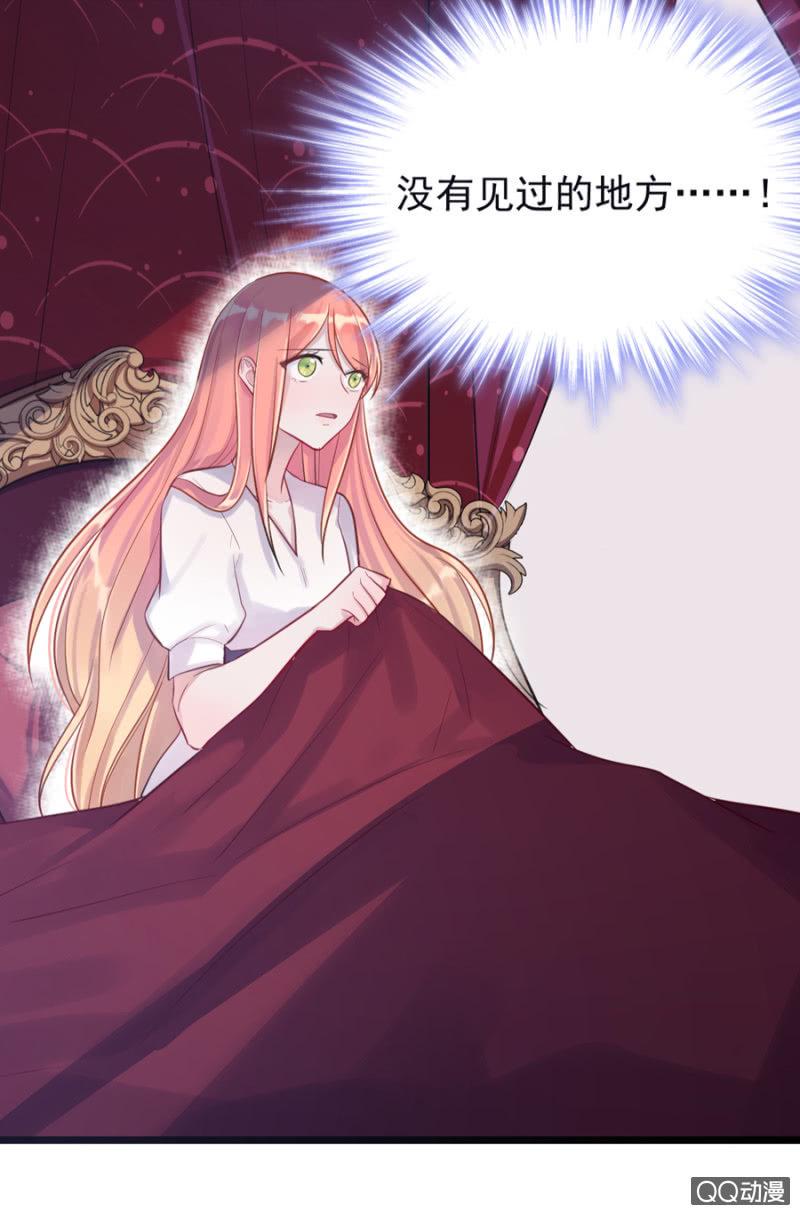 莱斯特14