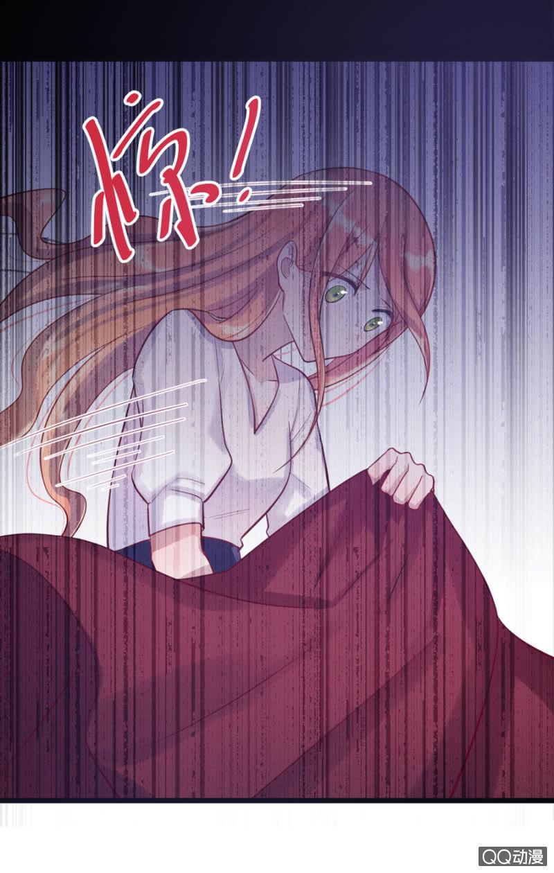 莱斯特6