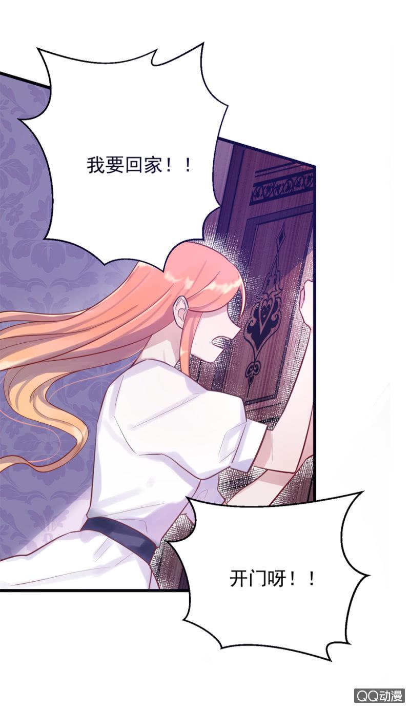 莱斯特29