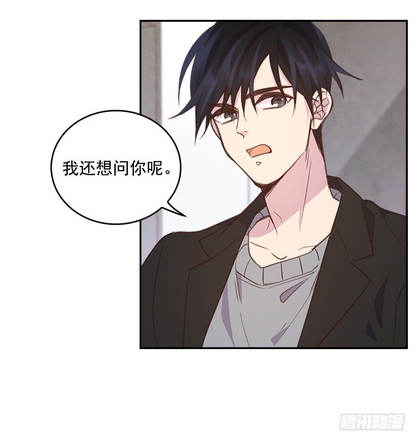 9.大采购5