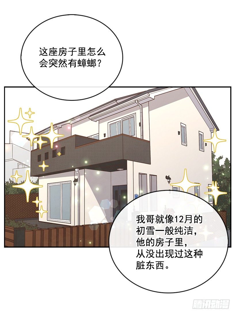 9.大采购6