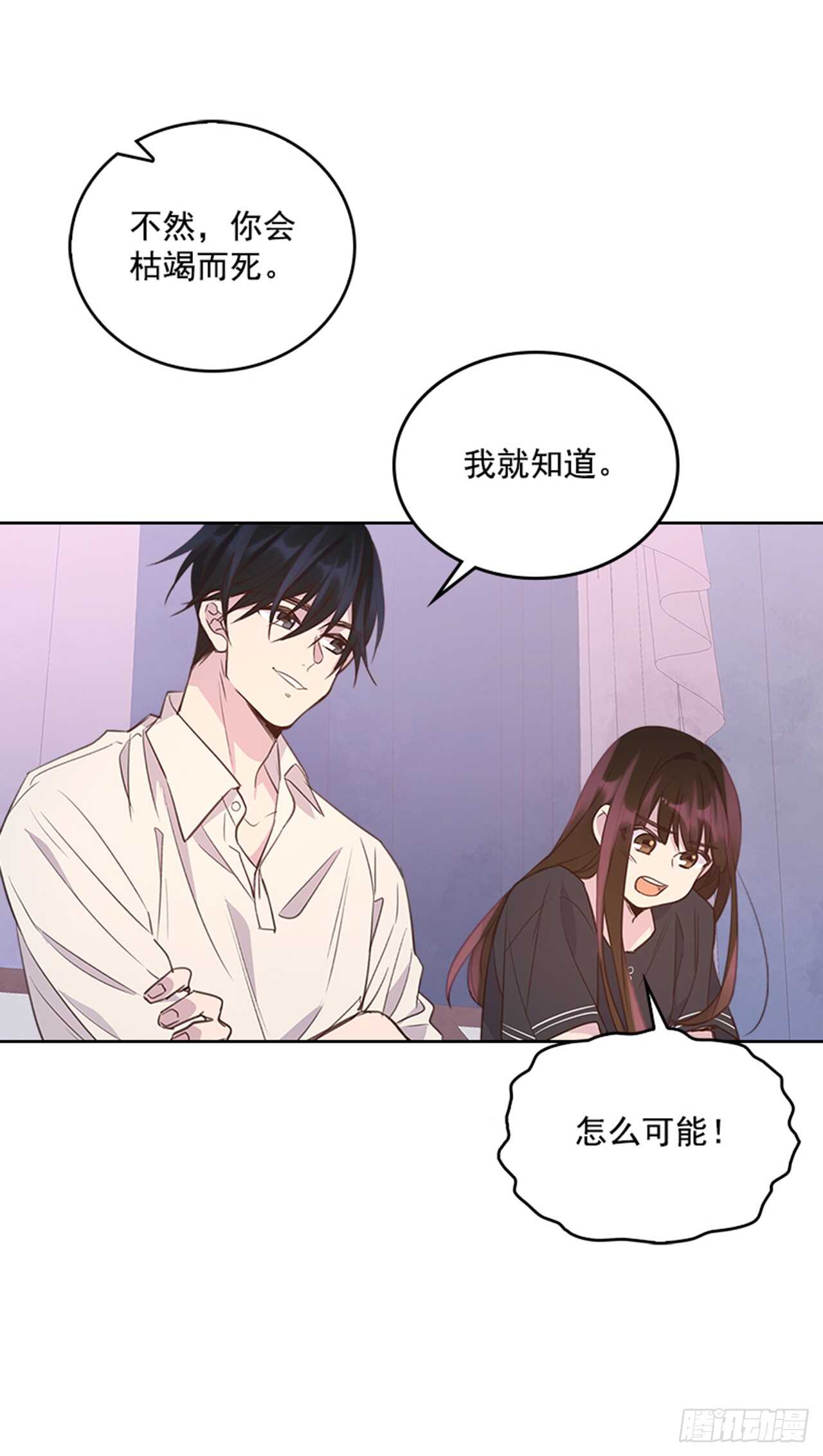 24.算命先生的话12