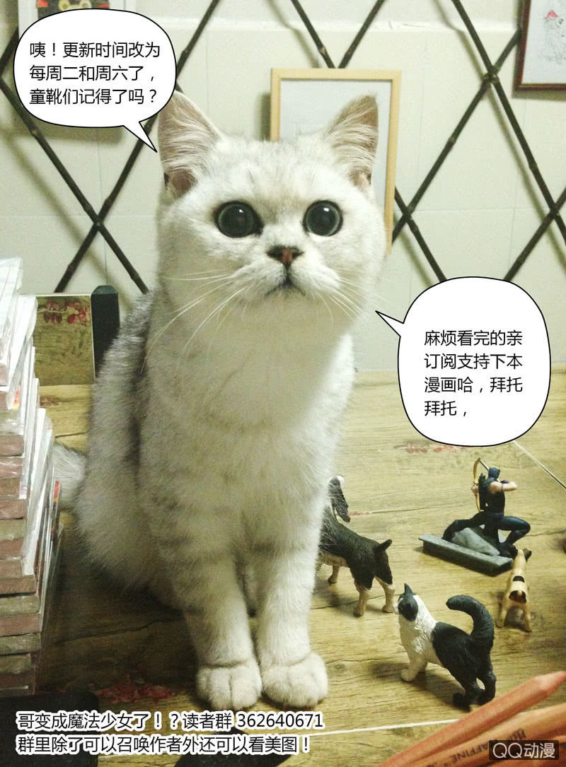 10话10