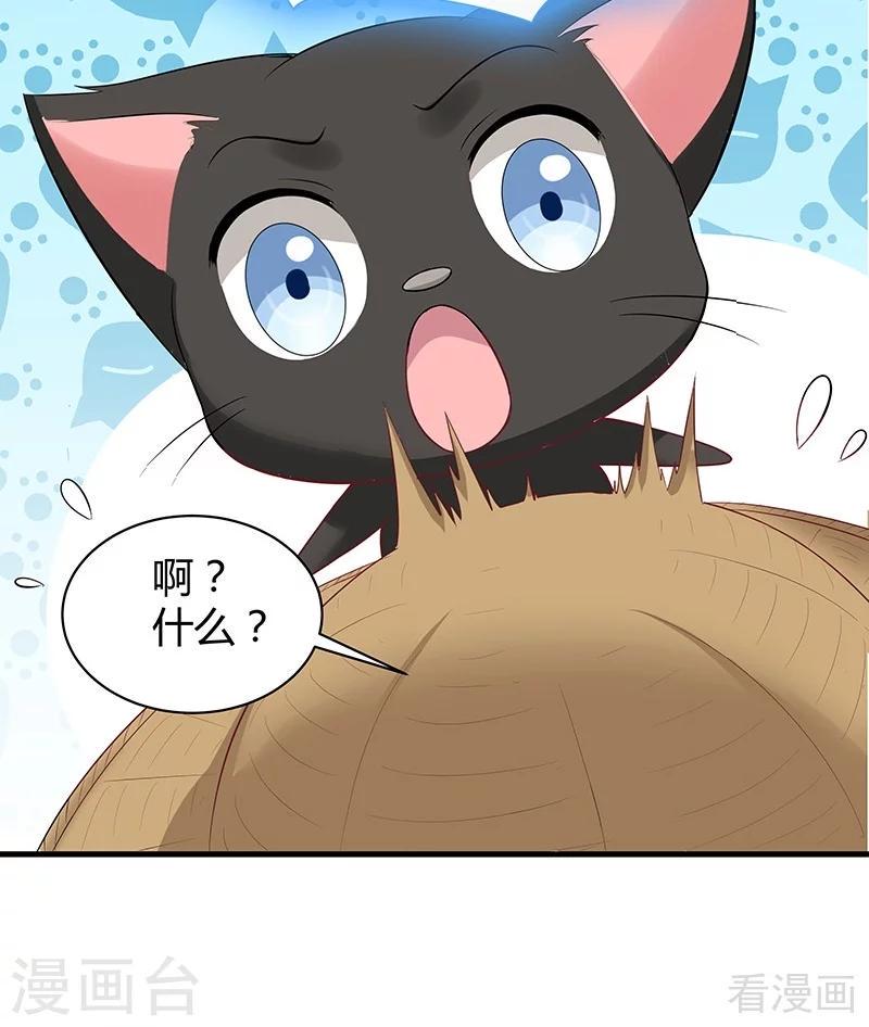 第16话 修炼释灵丹9