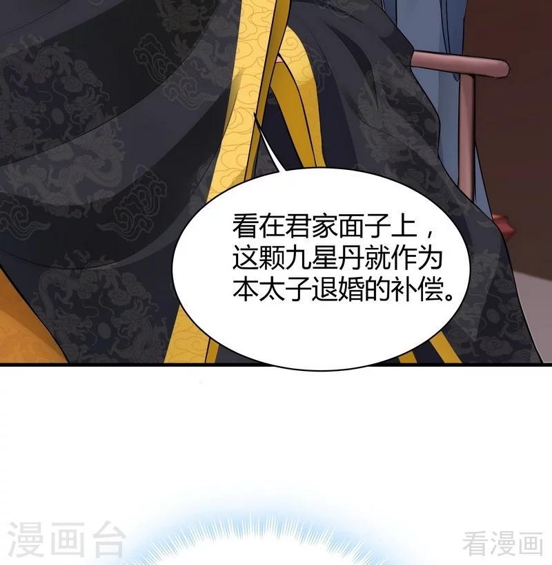 第8话 太子殿下与婚约29