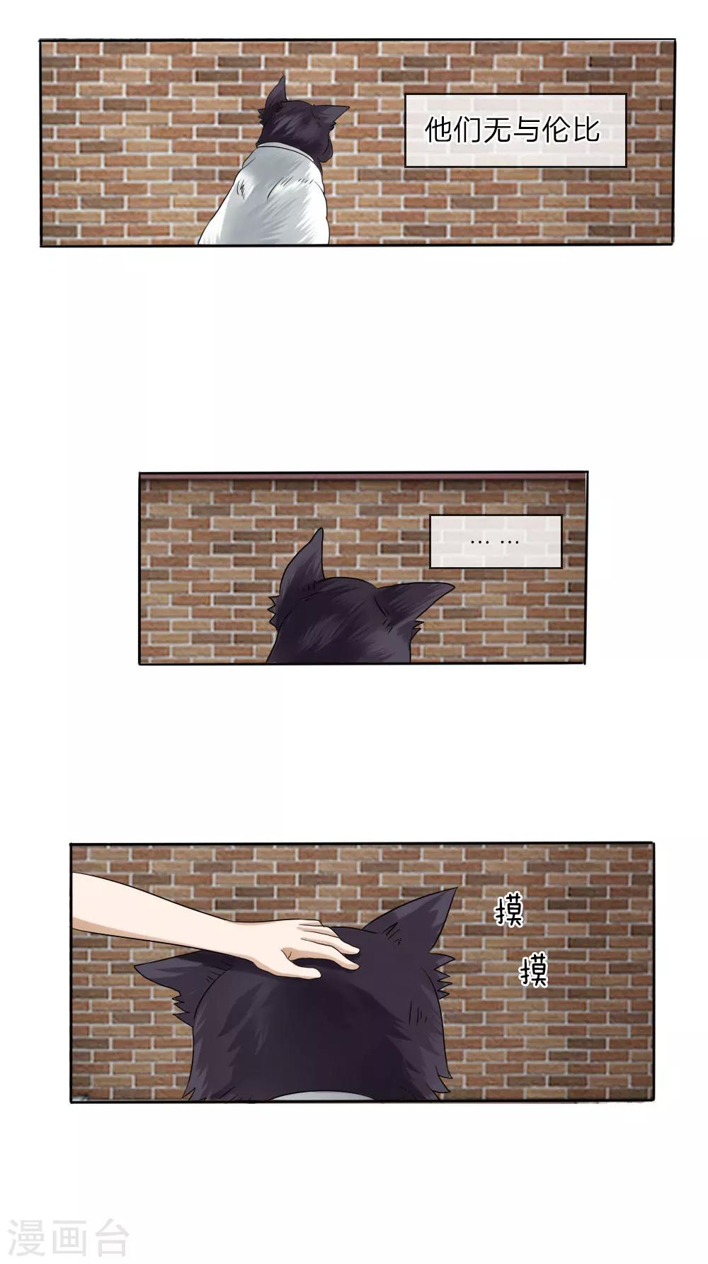第13话5