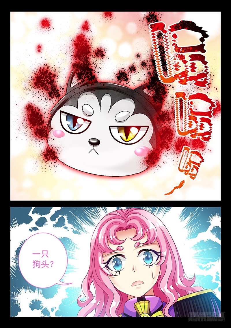 037-5白虎内丹6