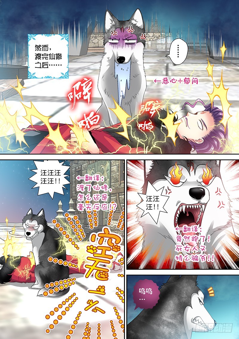 013-3喵了个汪汪汪！0